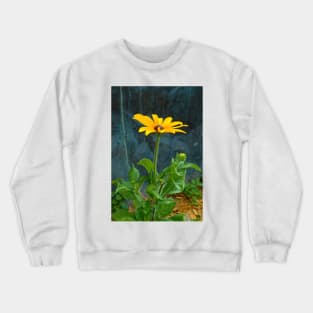 Black Eyed Susan Solo Crewneck Sweatshirt